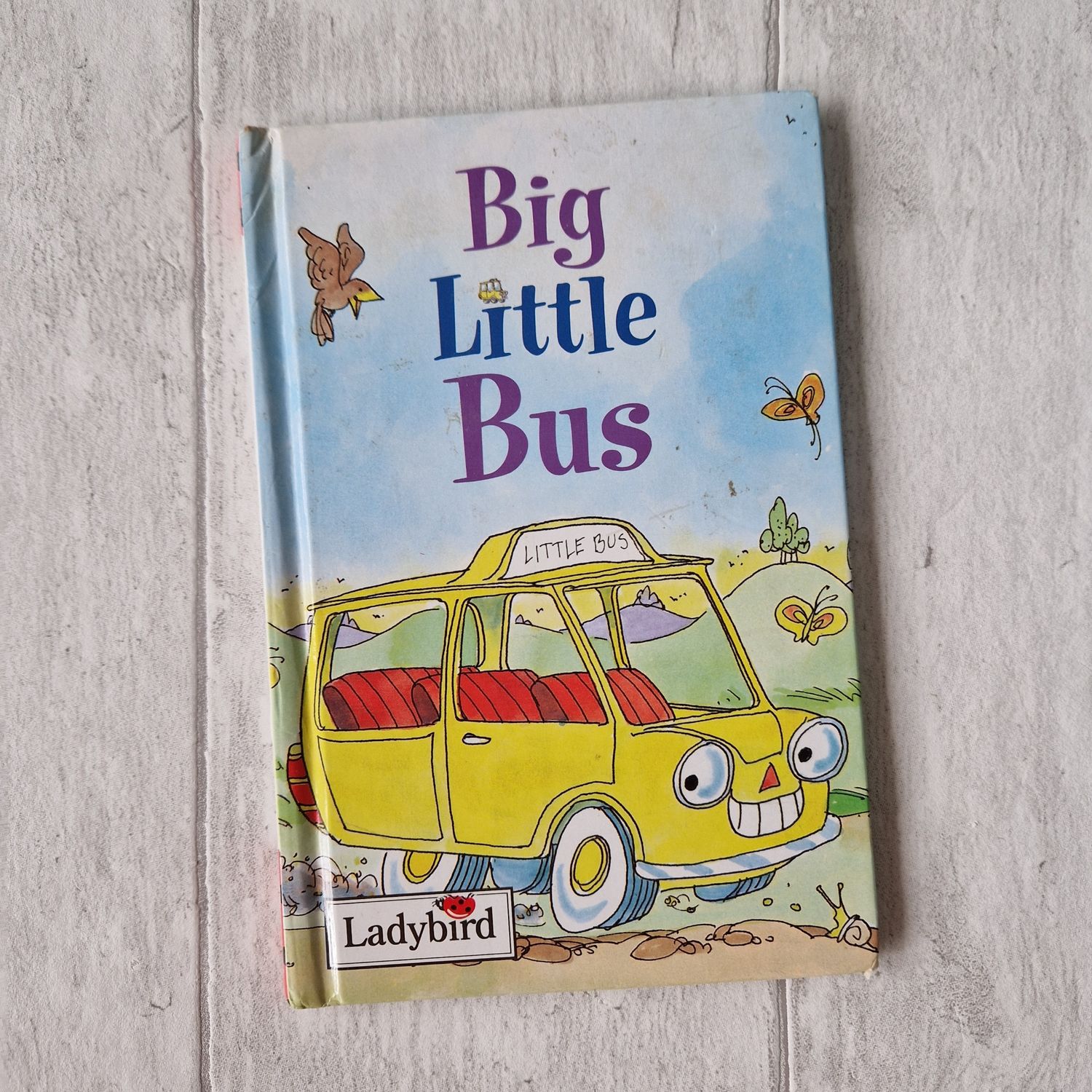 Big Little Bus