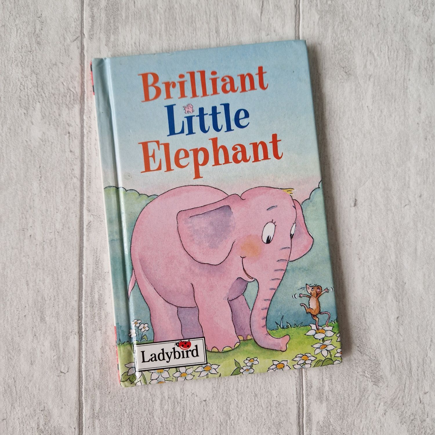 Brilliant Little Elephant