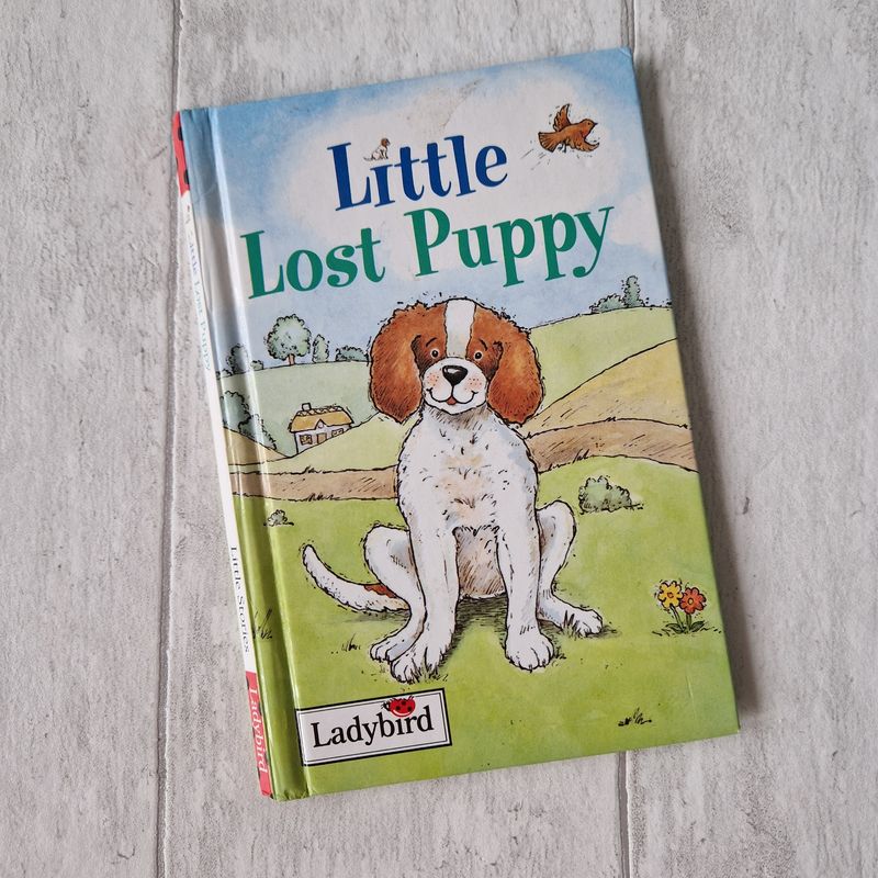 Little Lost Puppy