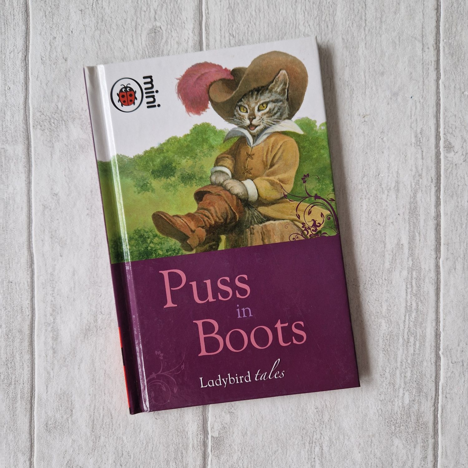 Puss in Boots made from a Ladybird Book