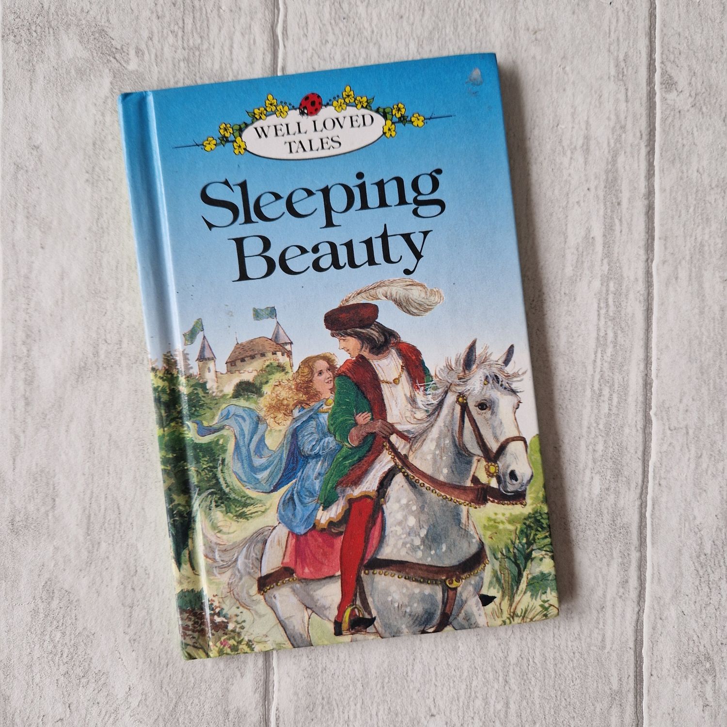Sleeping Beauty made from a Ladybird Book