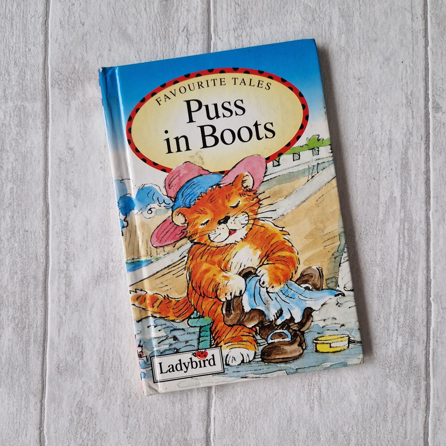 Puss in Boots made from a Ladybird Book