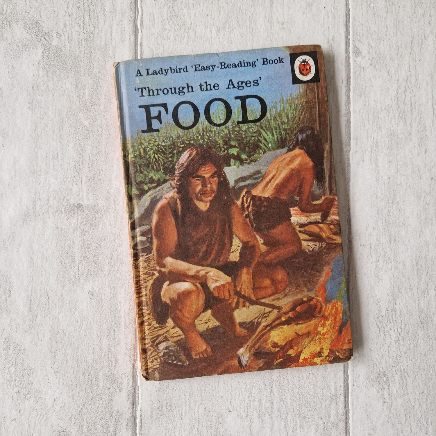 Food Through the Ages made from a Ladybird Book