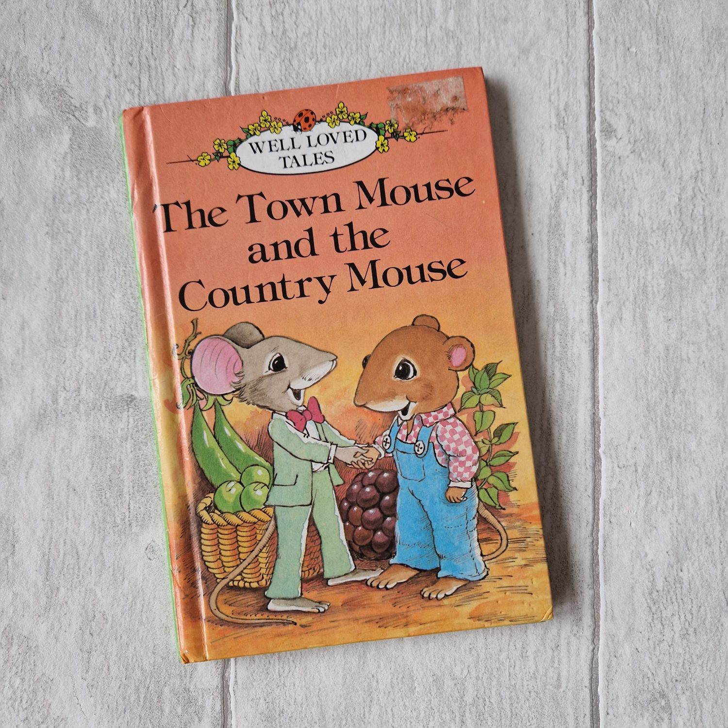 Town Mouse and Country Mouse made from a Ladybird Book