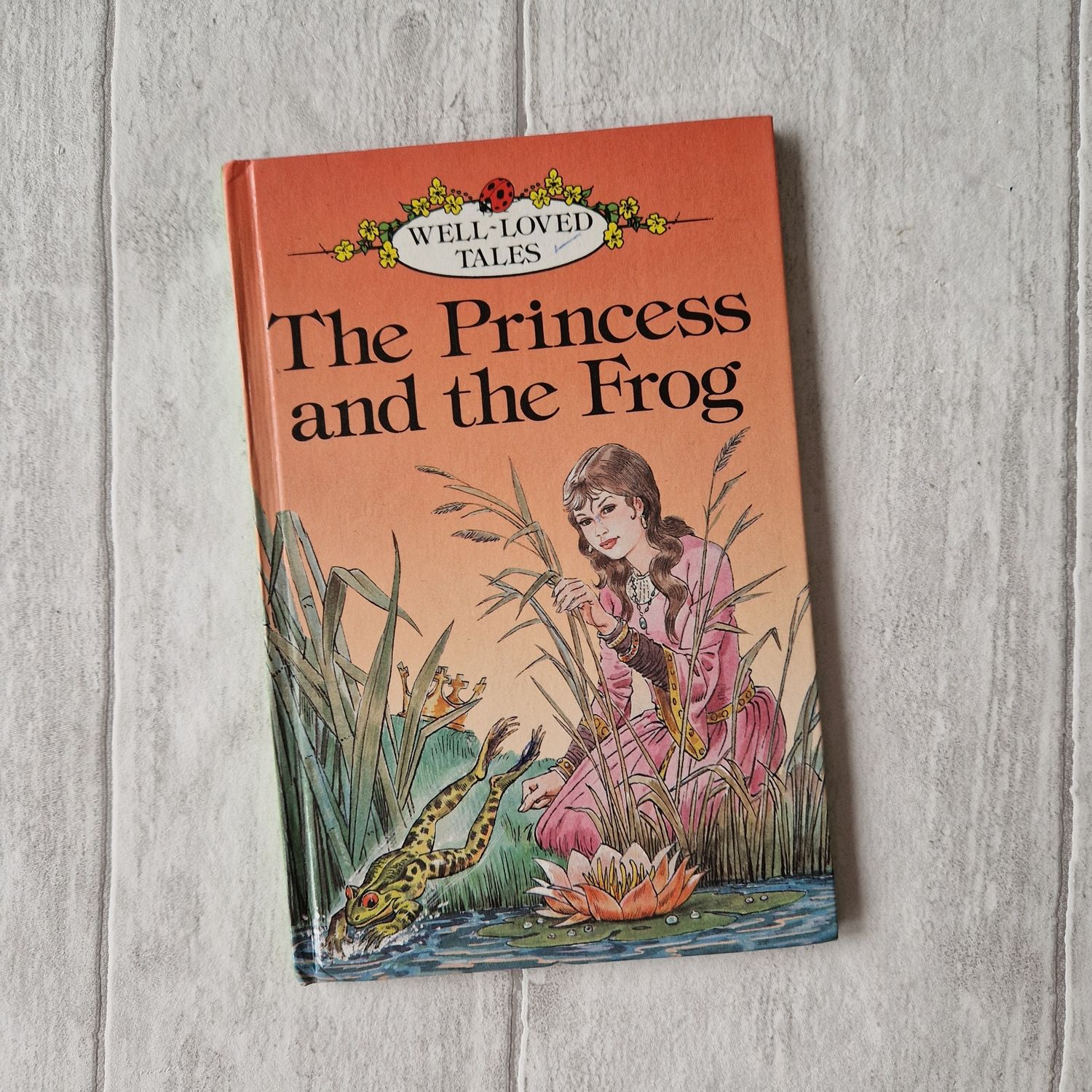 Princess and the Frog made from a Ladybird Book