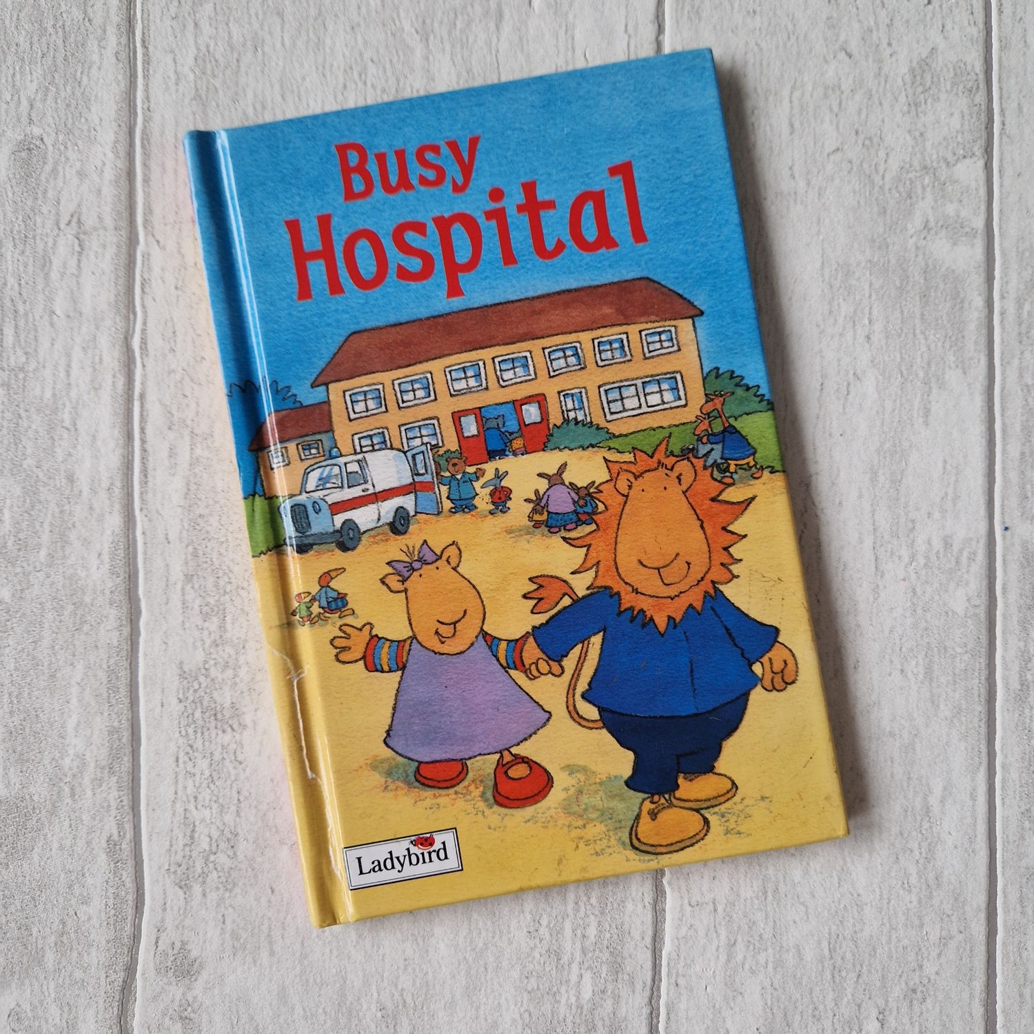 Busy Hospital - made from a Ladybird Book