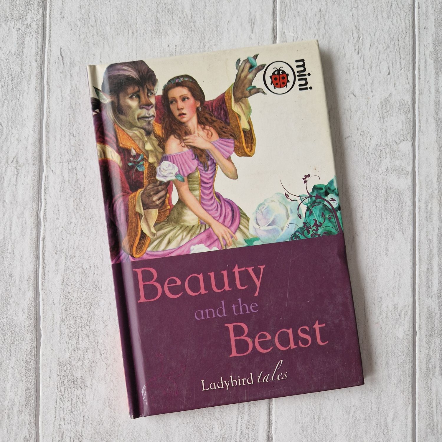 Beauty and the Beast made from a Ladybird Book