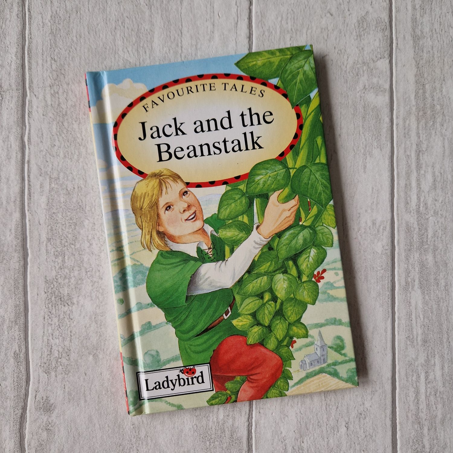 Jack and the Beanstalk made from a Ladybird Book