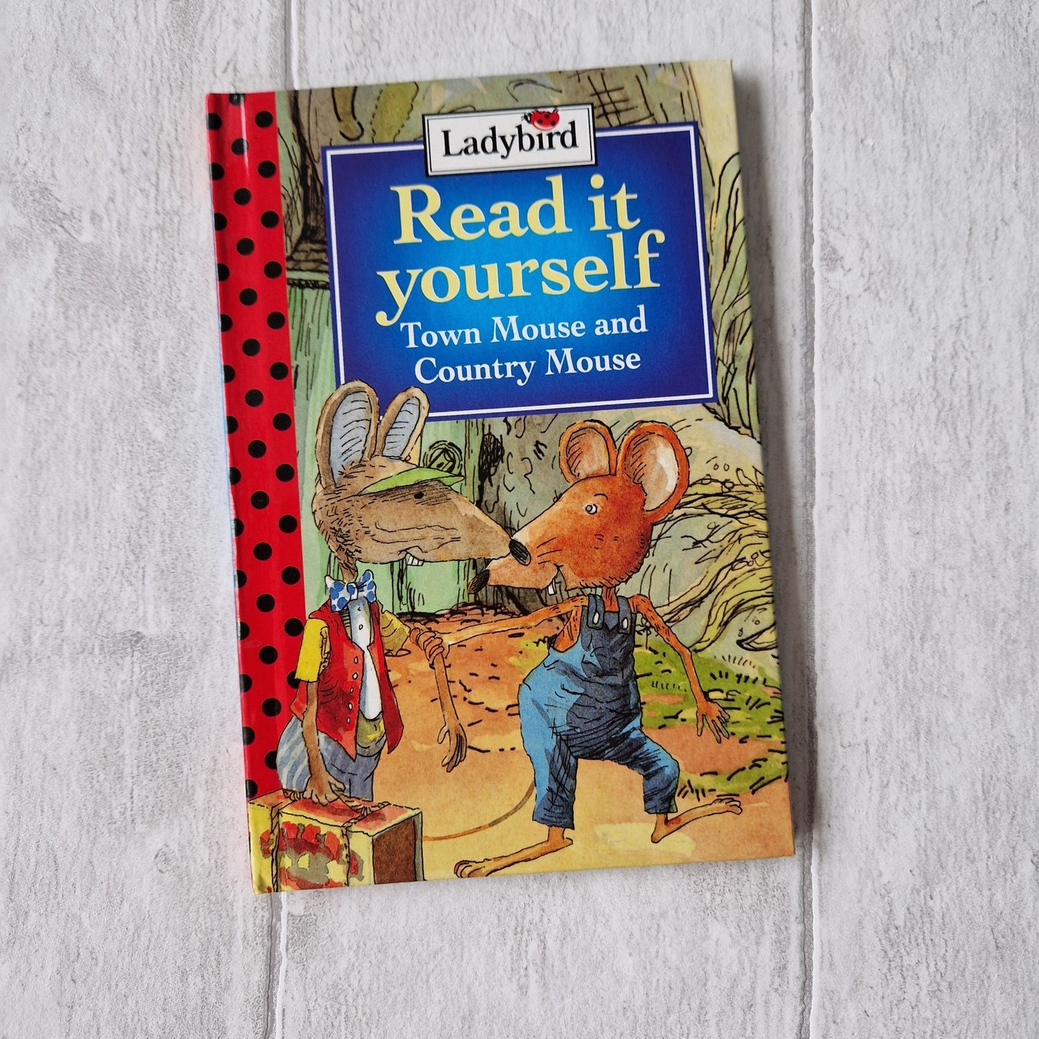 Town Mouse and Country Mouse made from a Ladybird Book