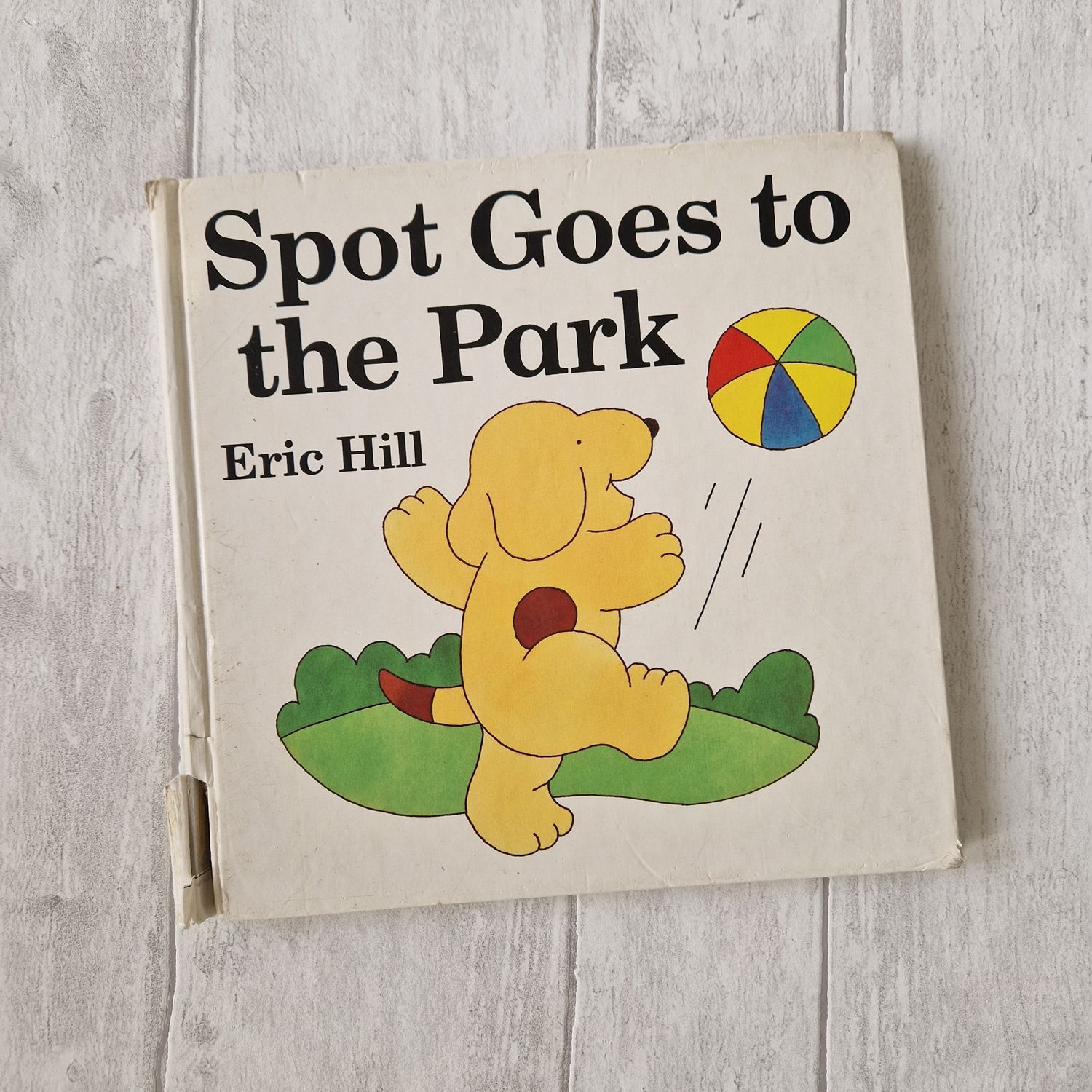 Spot the dog goes to the Park