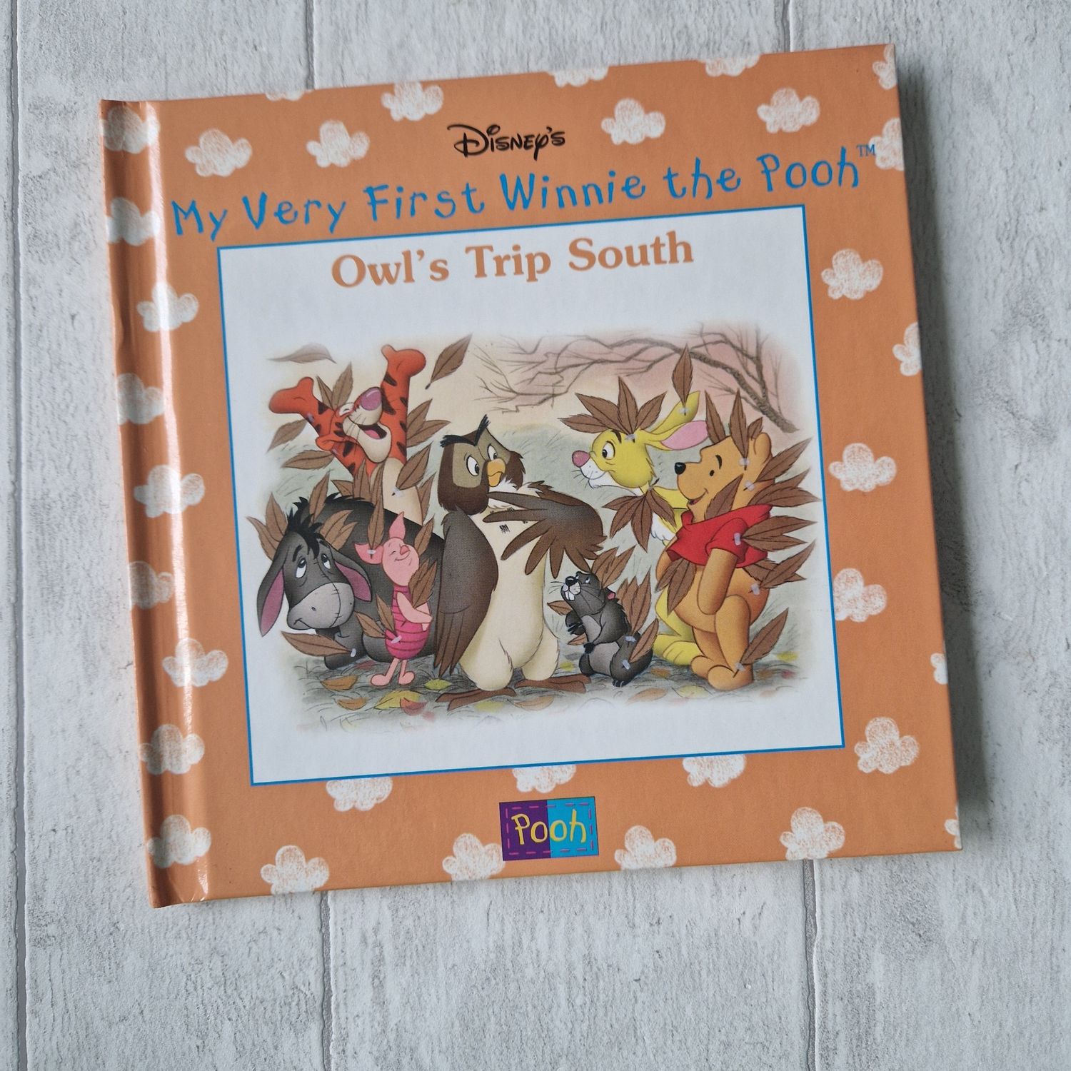 Winnie the Pooh - Owl&#39;s Trip South
