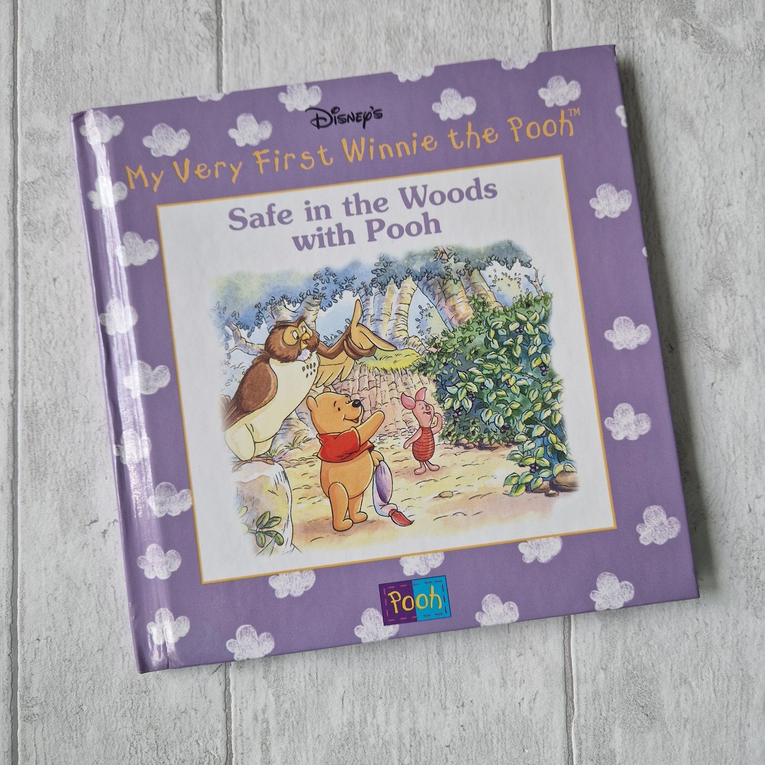 Winnie the Pooh - Safe in the woods with Pooh