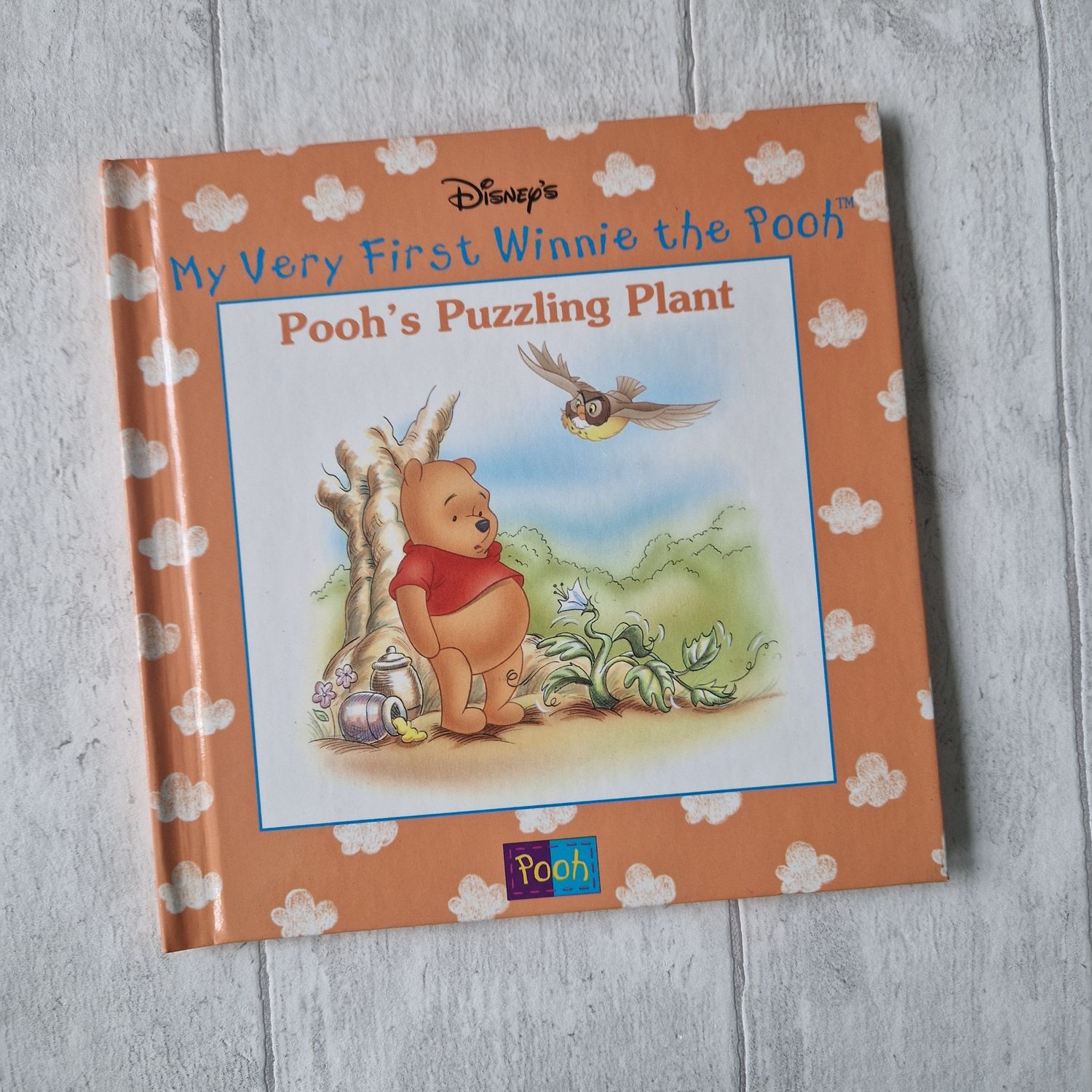 Winnie the Pooh - Puzzling Plant - Garden