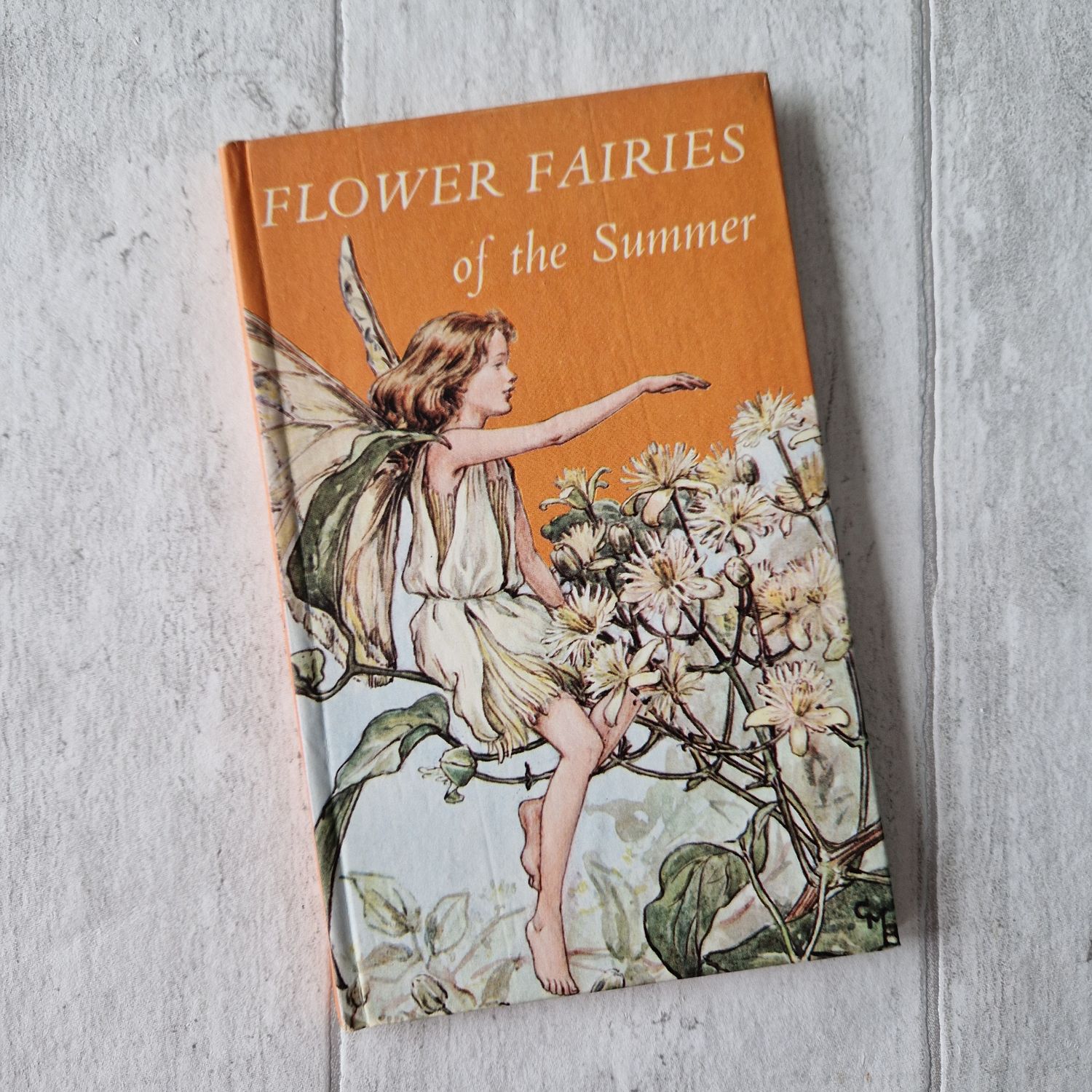 Flower Fairies of the Summer