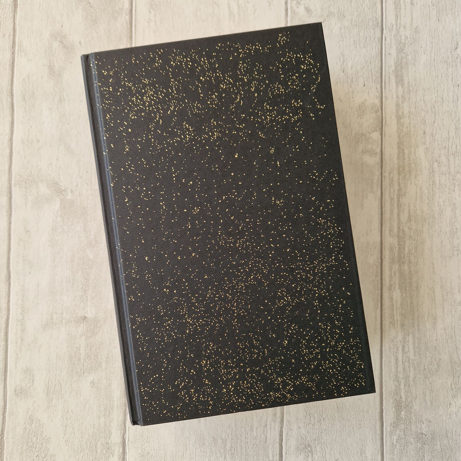 Book of Dust - Philip Pullman volume two