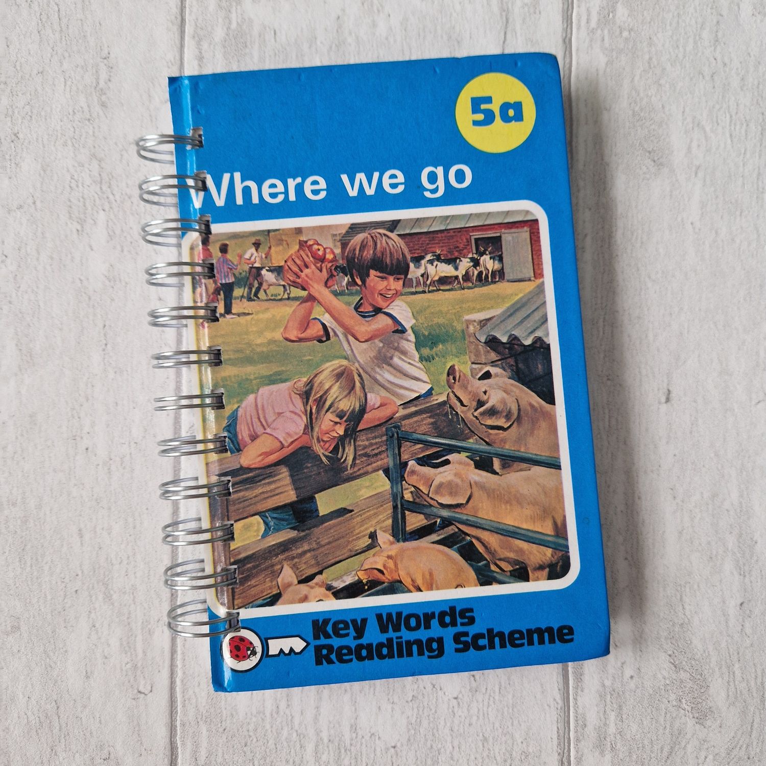 Peter and Jane Where We Go Week Per View Diary notebook - Ladybird Book - READY TO SHIP