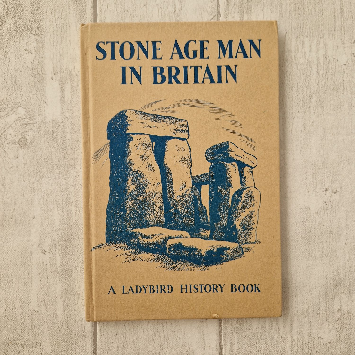 Stone Age Man in Britain Notebook made from a Ladybird Book - Stone Henge