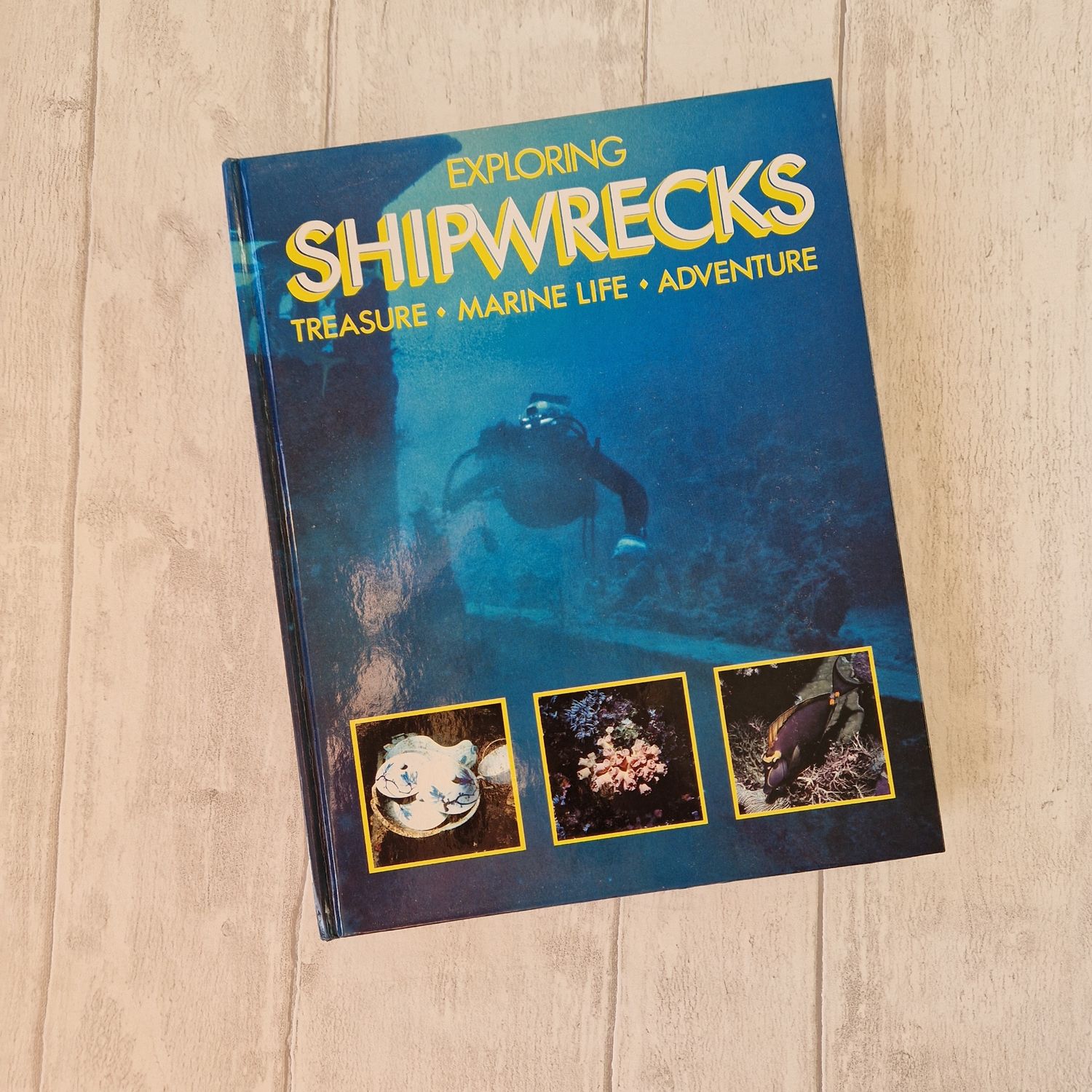 Shipwrecks - treasure, marine life, adventure, diving