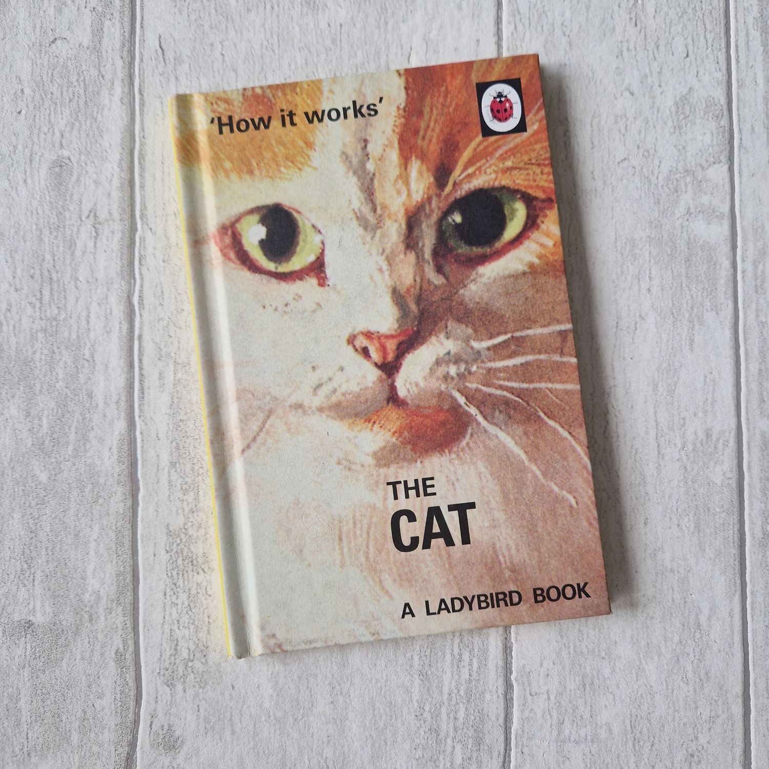 The Cat Notebook made from a Ladybird Book