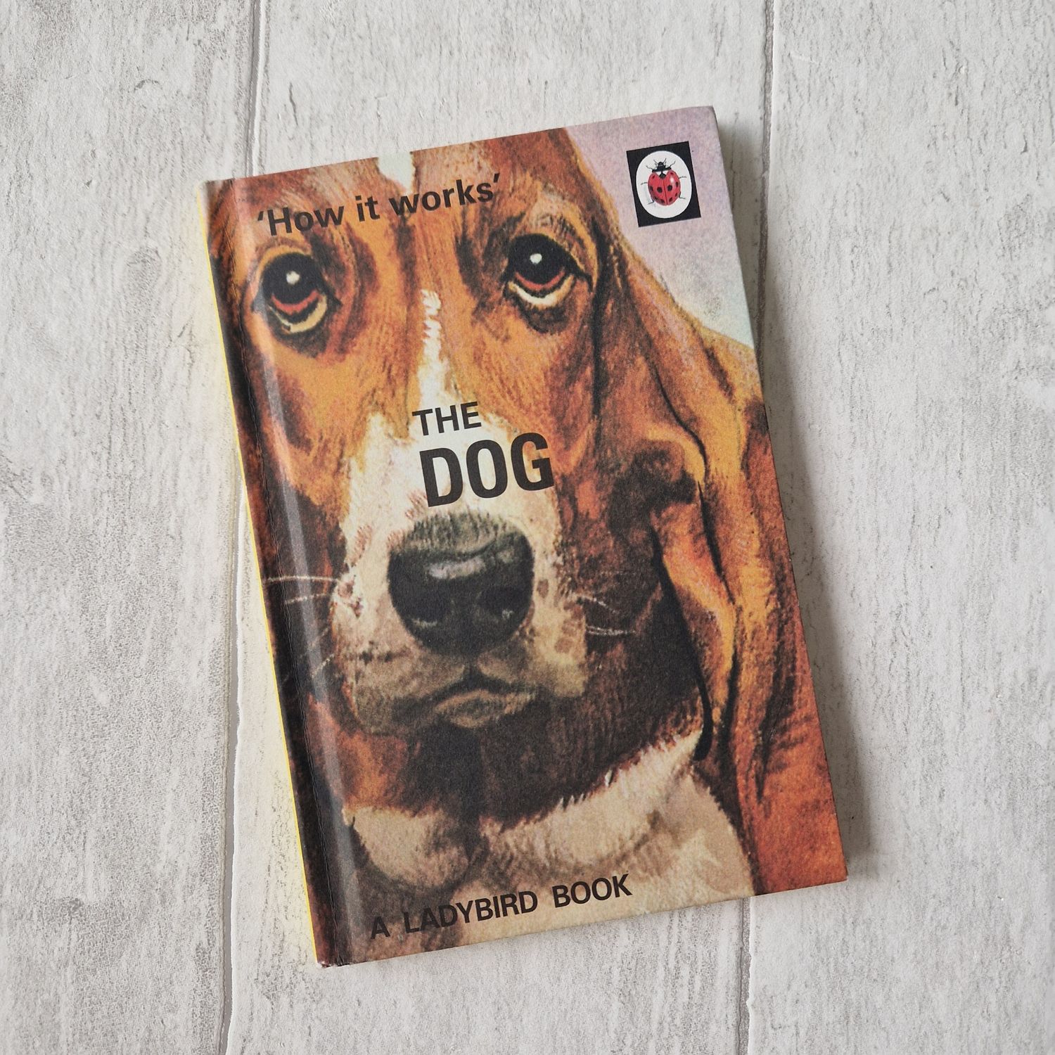 The Dog Notebook made from a Ladybird Book