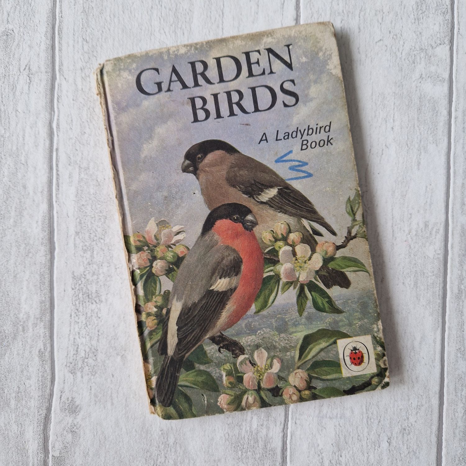 Garden Birds made from a Ladybird Book