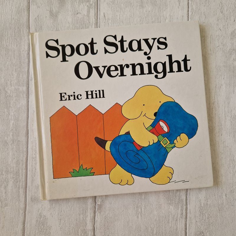 Spot Stays Overnight