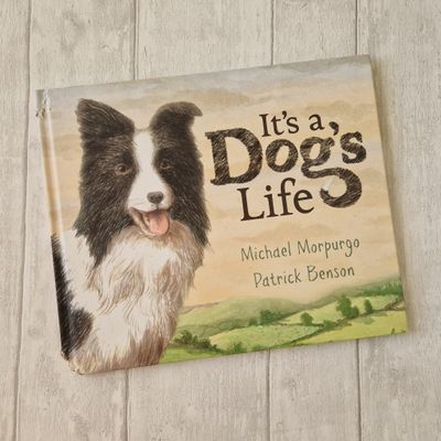 It&#39;s a Dog&#39;s Life - PLAIN PAPER ONLY Sheep Dog, Collie, Border Collie