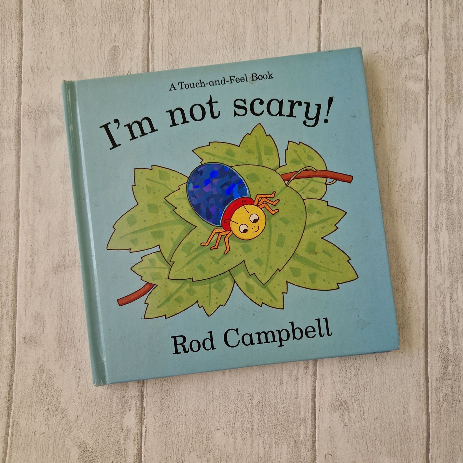I&#39;m not Scary - insect bug