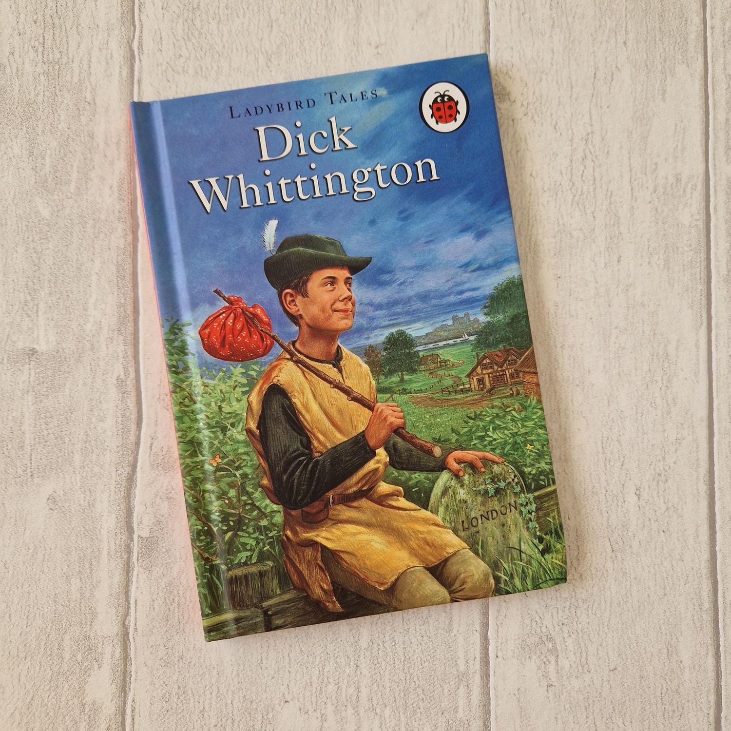 Dick Whittington and his cat made from a Ladybird Book