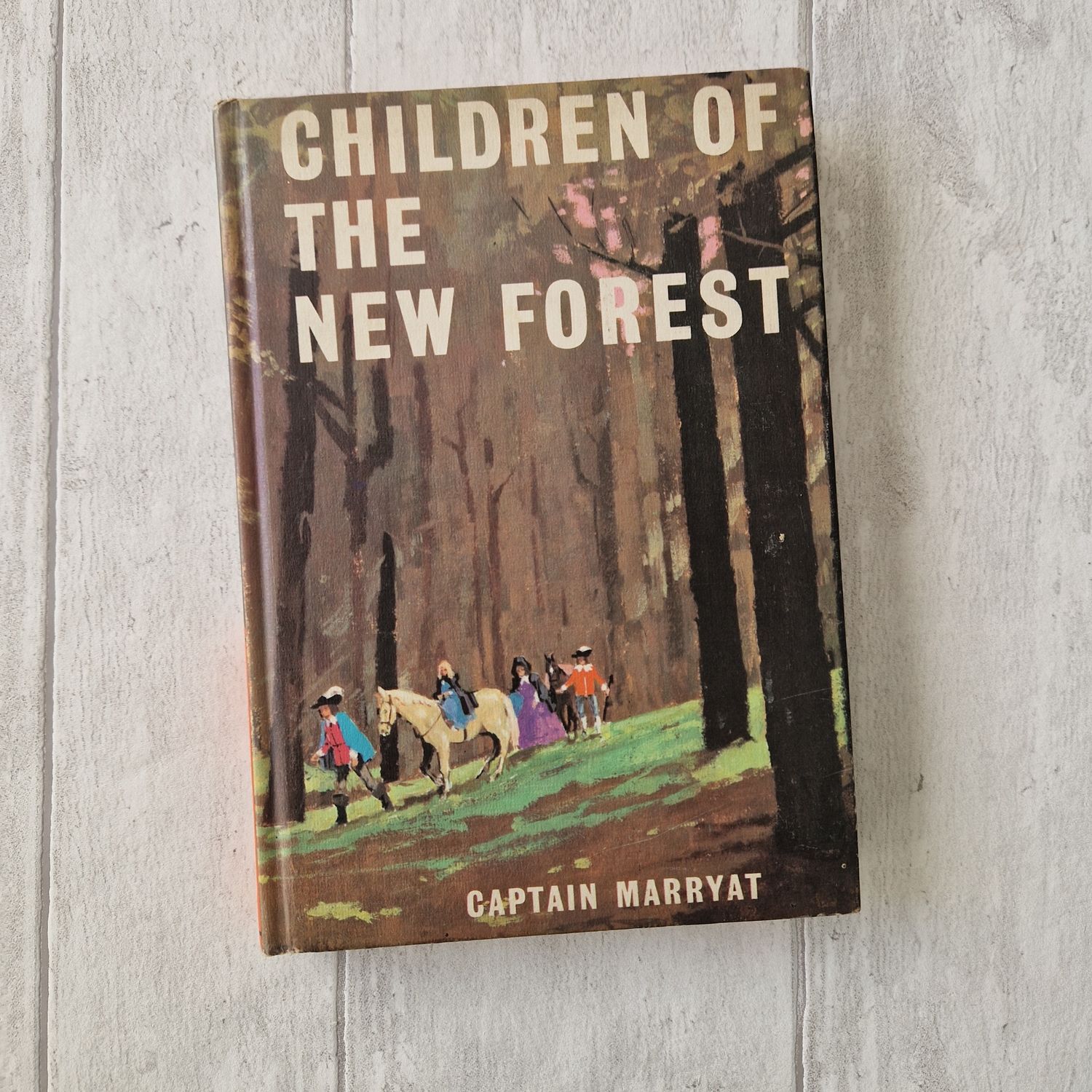The Children of the New Forest 1971