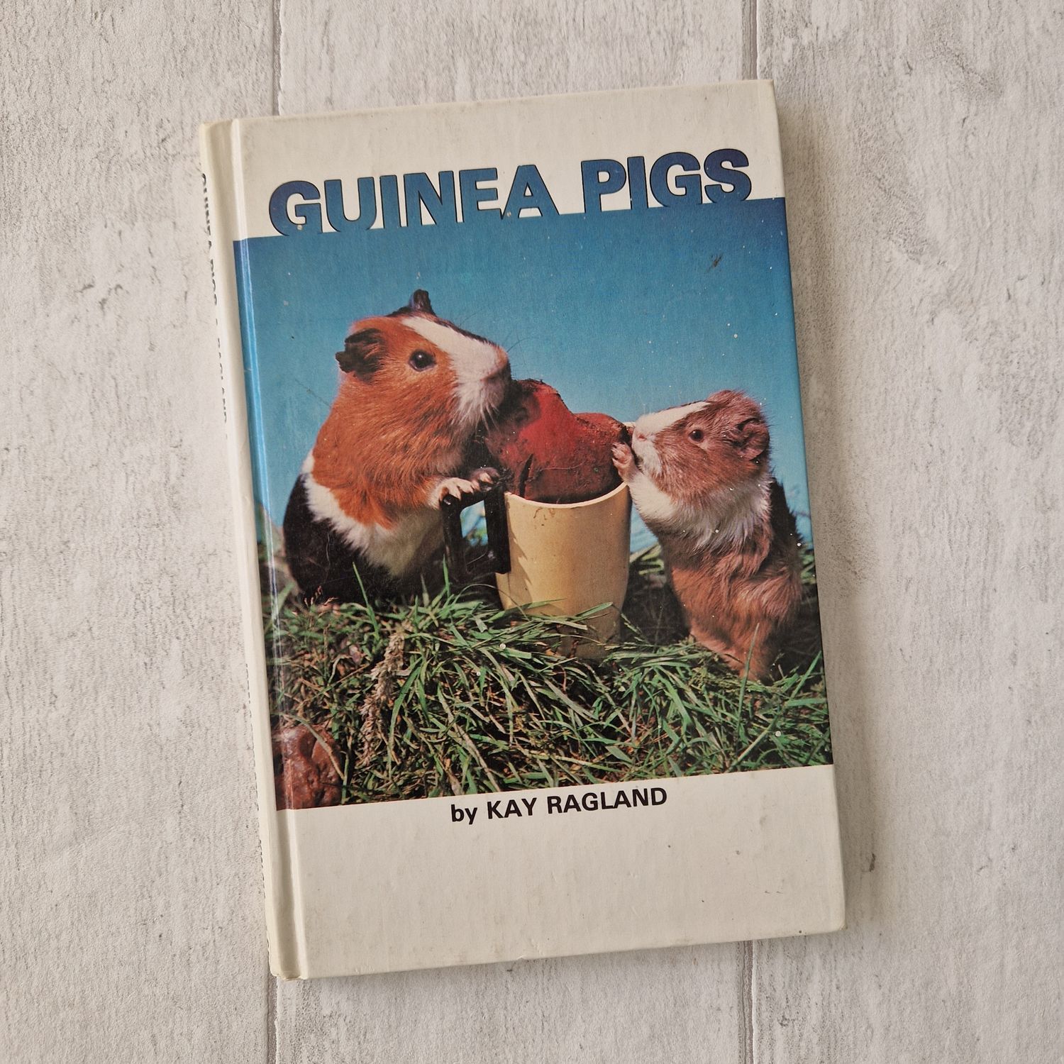 Guinea Pigs 1979