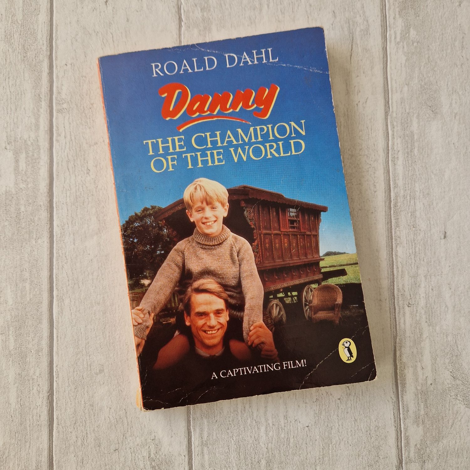 Danny the Champion of the World by Roald Dahl - made from a paperback book