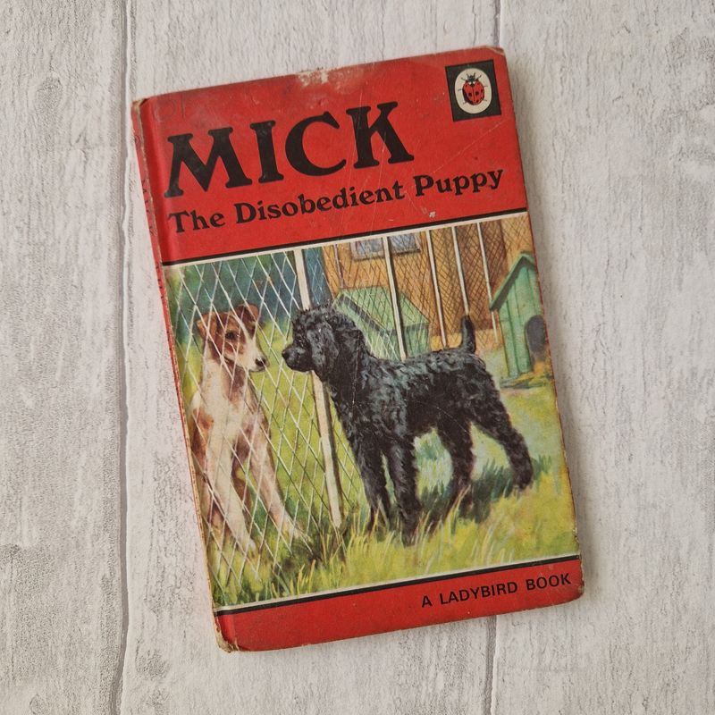 Mick the Disobedient Puppy - Ladybird Book - Poodle