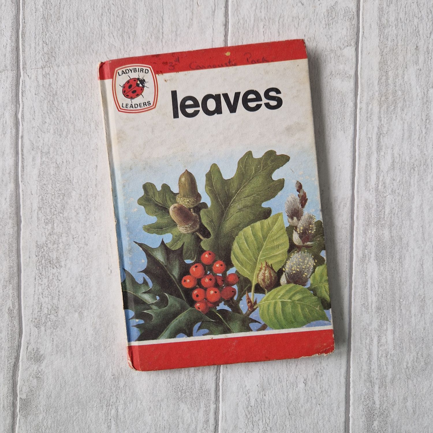 Leaves Ladybird Book