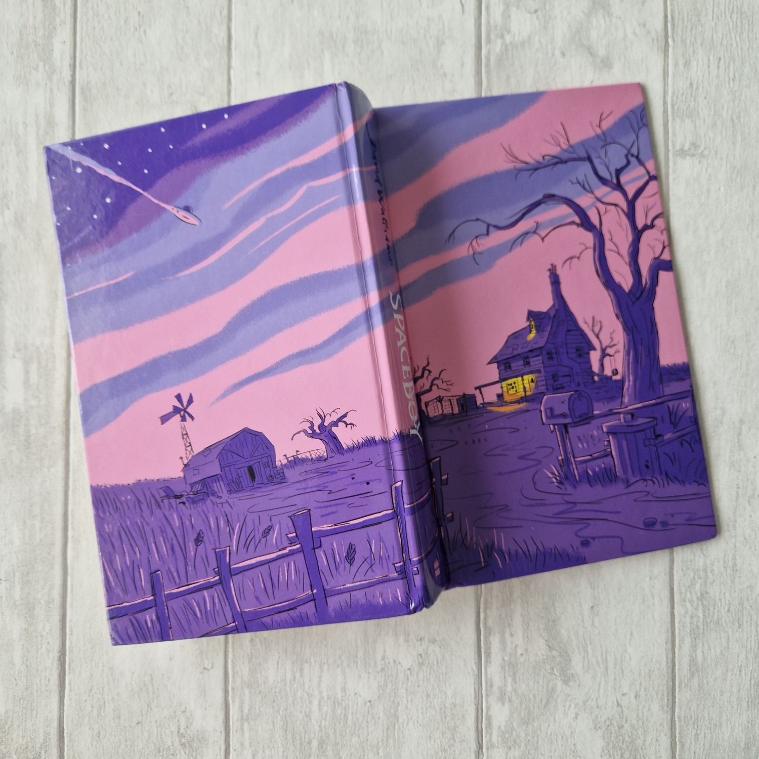 Spaceboy - David Walliams