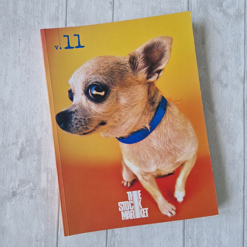 Chiuahua - The Stock Market -  made from an A4 paperback book