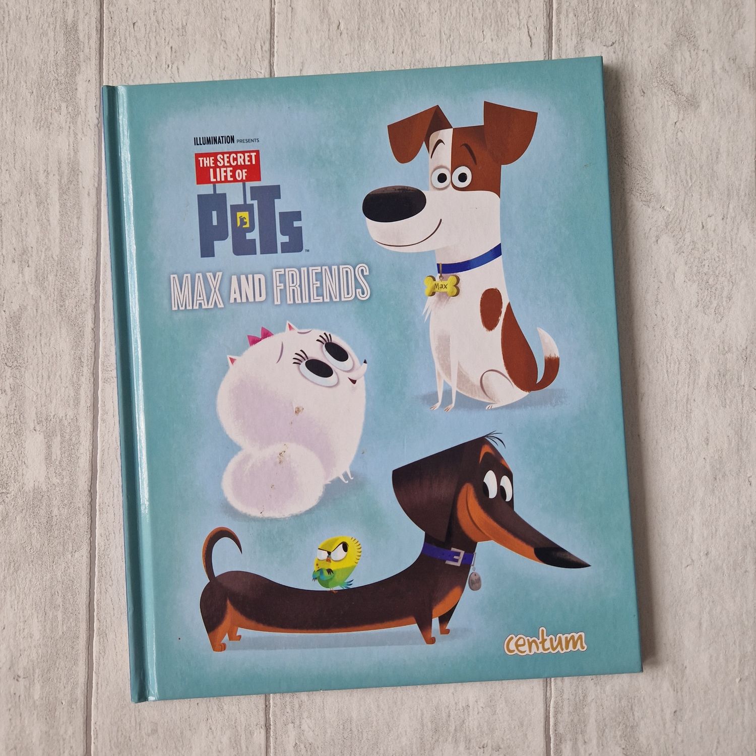 Secret Life of Pets - dogs