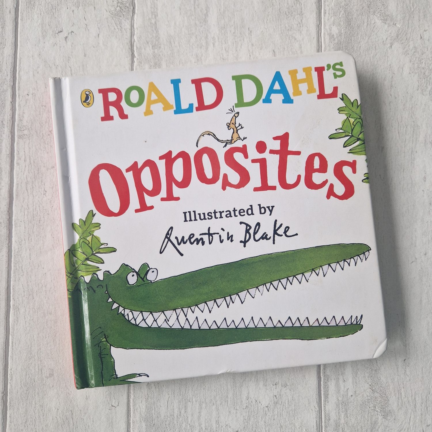 Roald Dahl&#39;s Opposites - Enormous Crocodile