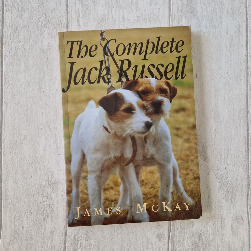 The Jack Russell - made from a paperback book