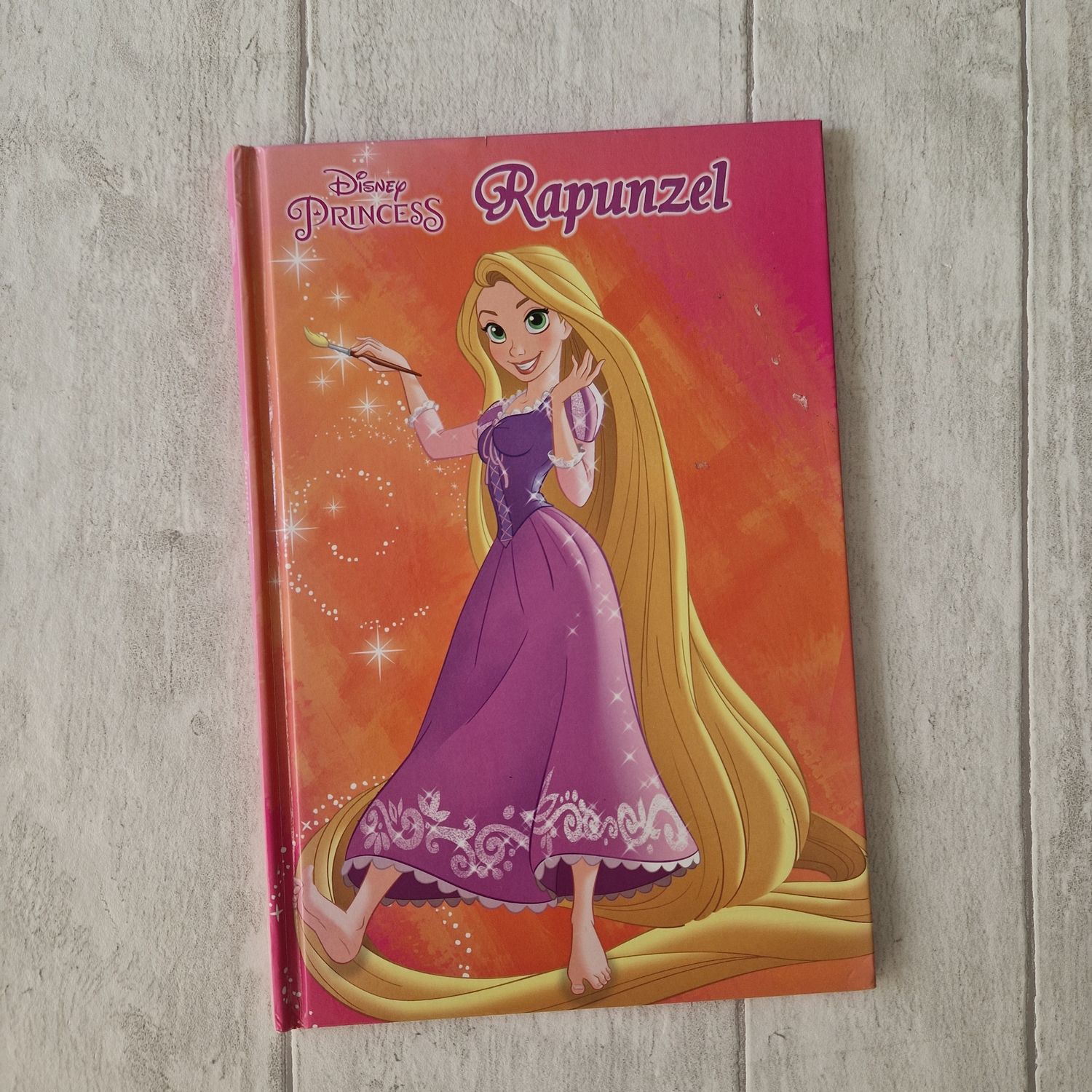 Tangled - Rapunzel, paint brush Notebook
