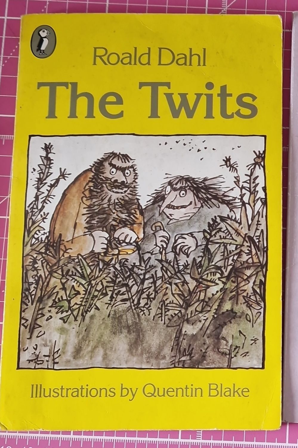 The Twits  by Roald Dahl - made from a paperback book
