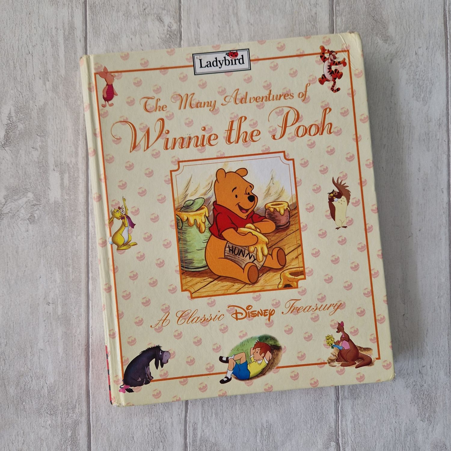 Winnie the Pooh - The Many Adventures of
