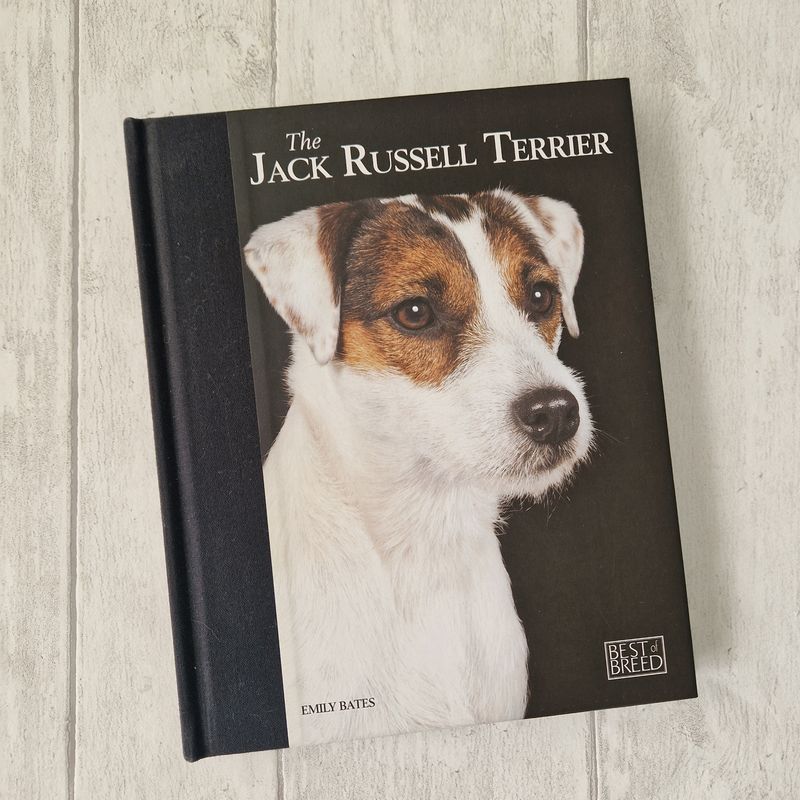 The Jack Russell Terrier