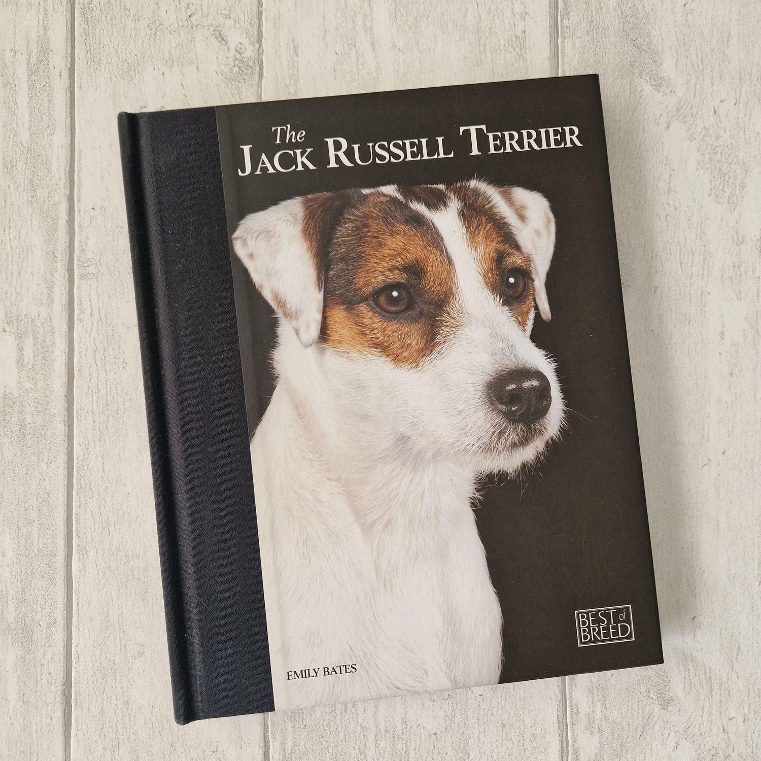 The Jack Russell Terrier