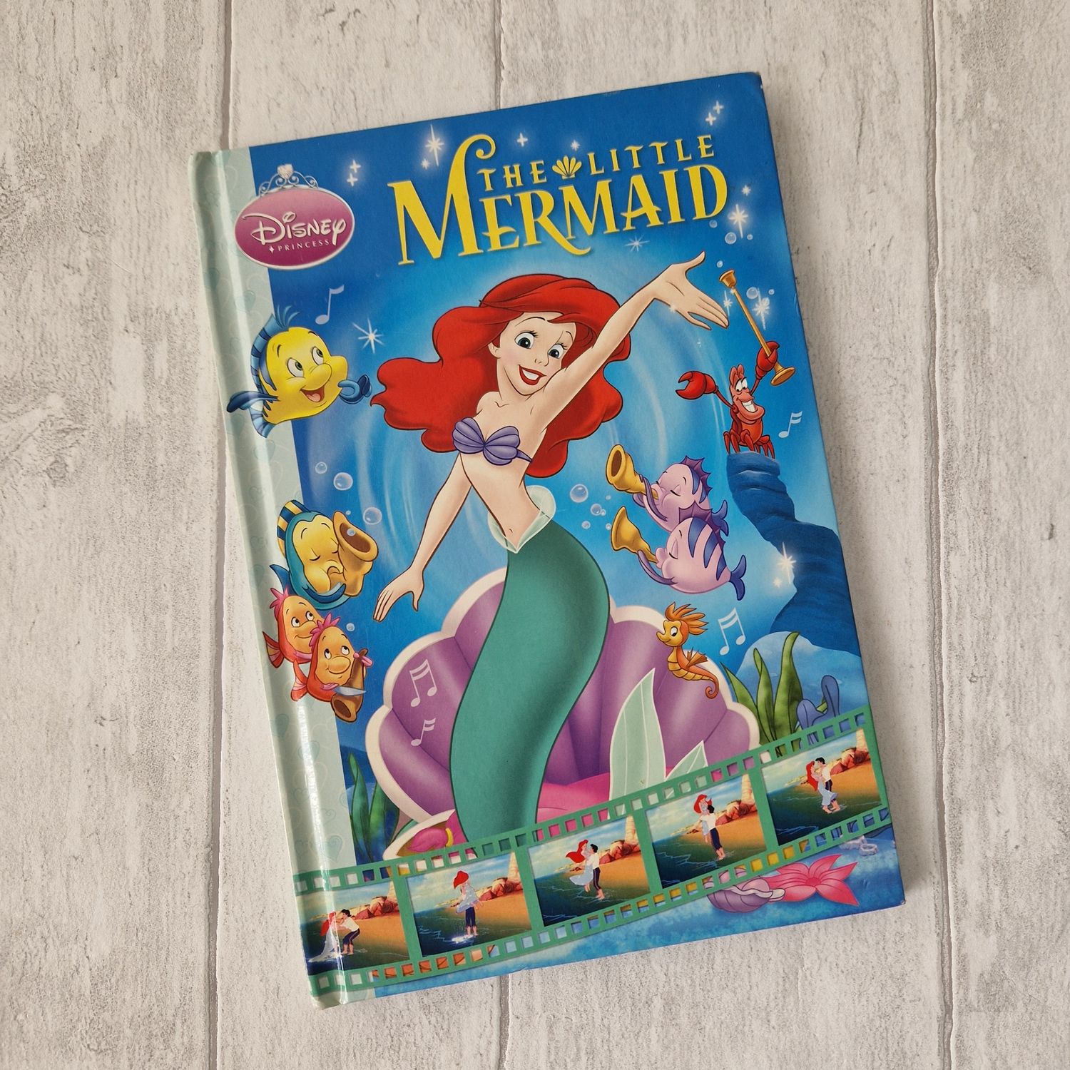 Little Mermaid Notebook