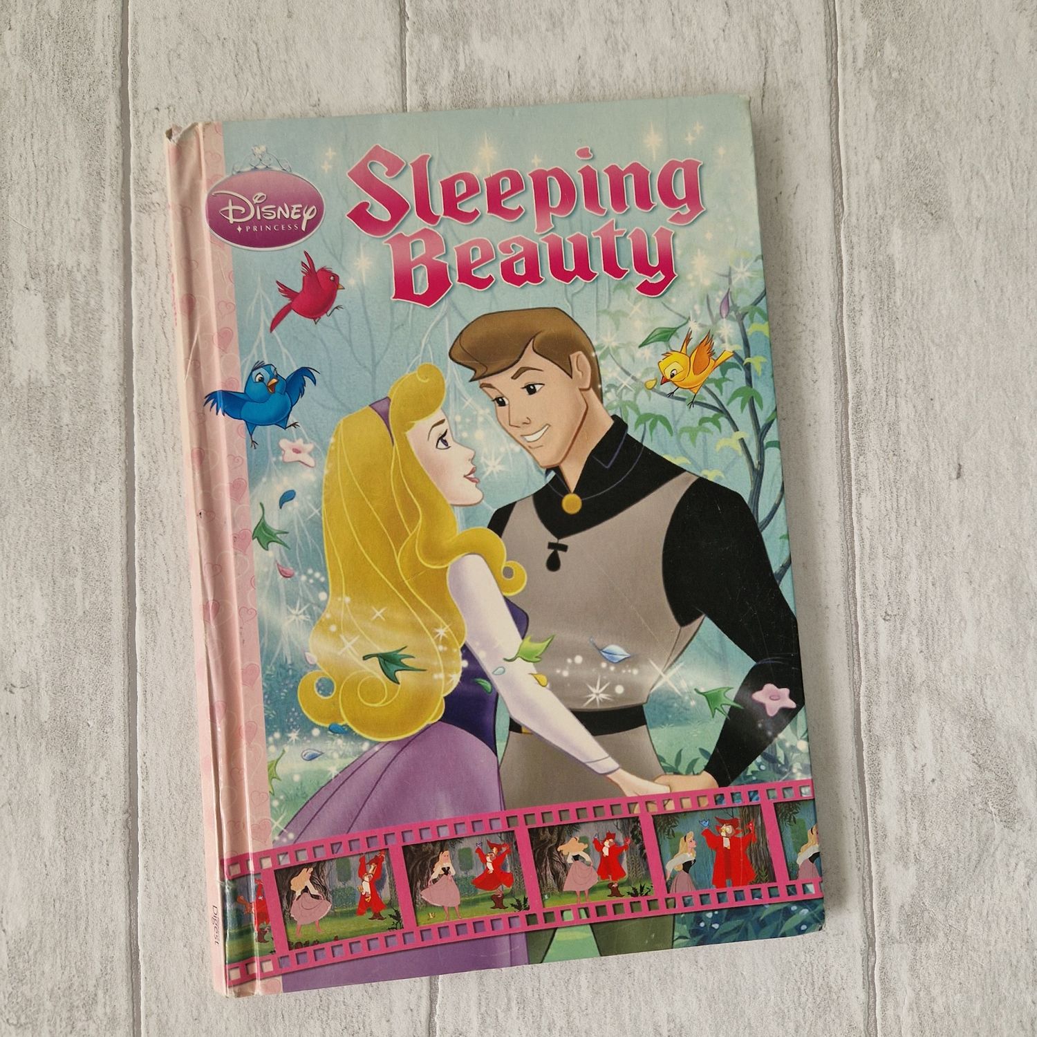 Sleeping Beauty Notebook