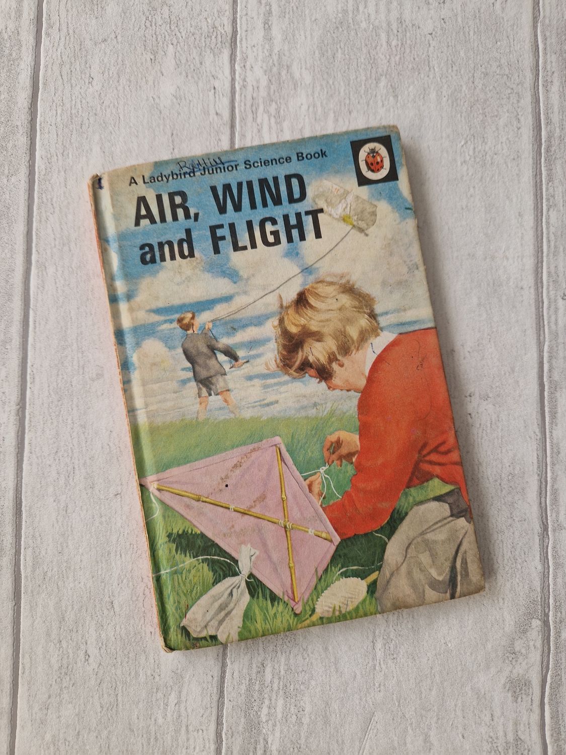 Air, Wind and Flight Ladybird Book - kite