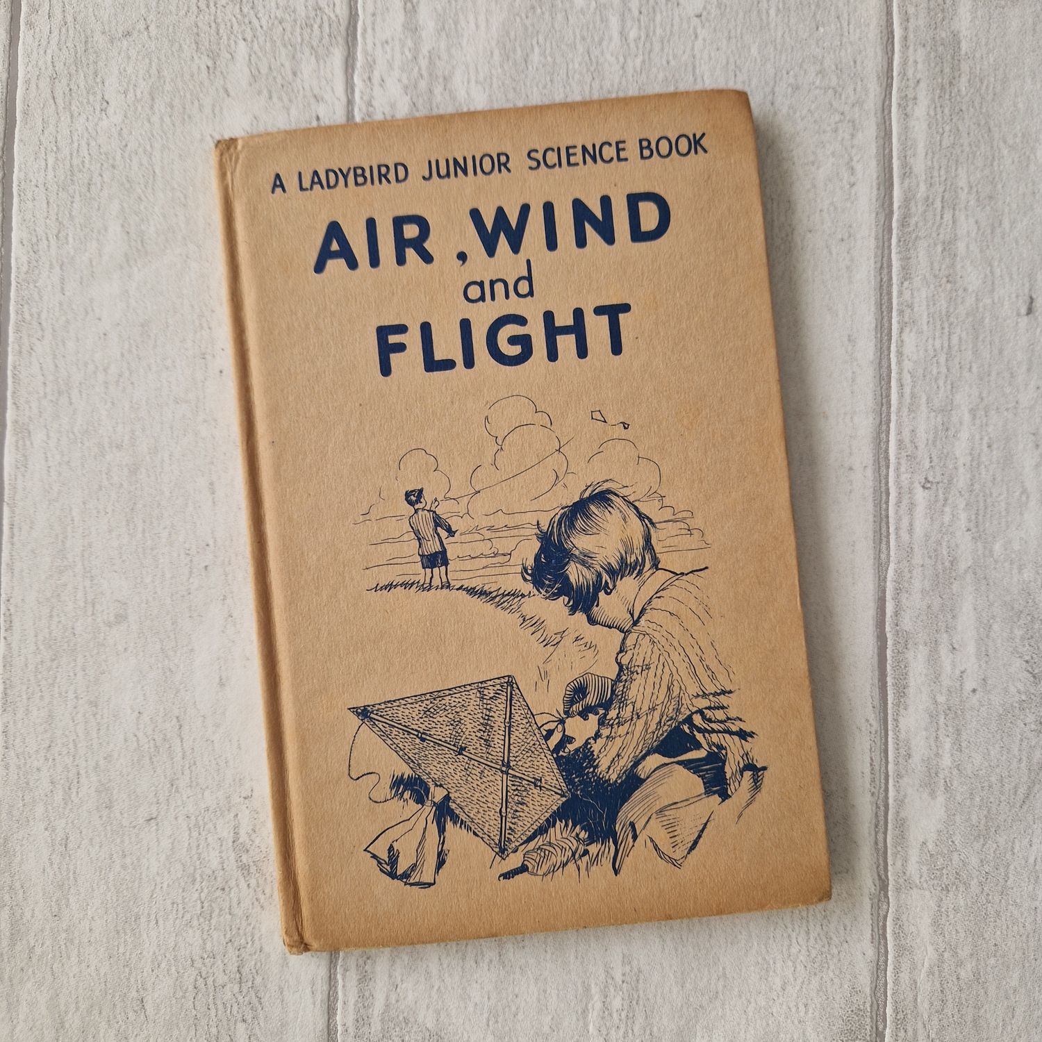 Air, Wind and Flight Ladybird Book - kite
