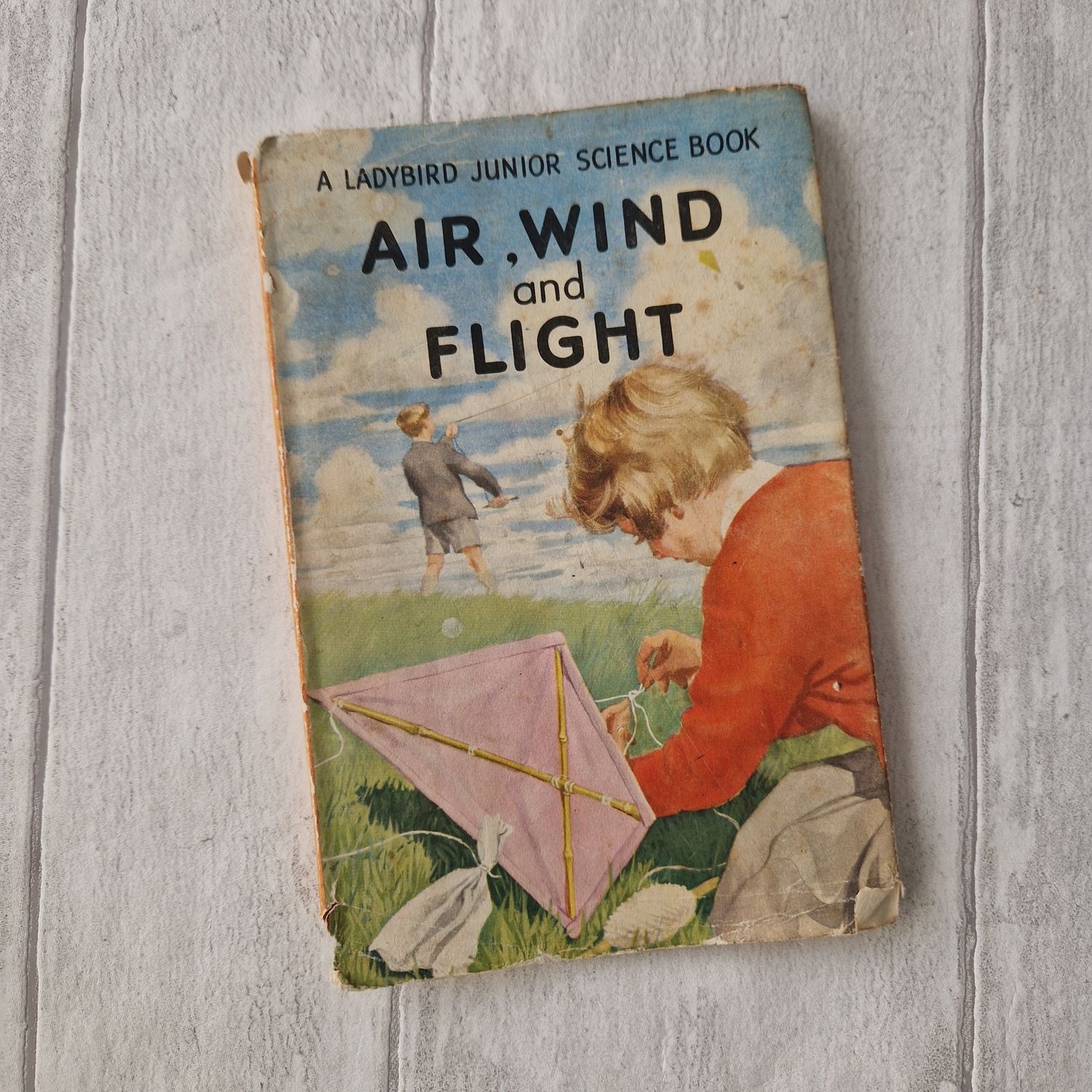 Air, Wind and Flight Ladybird Book - kite