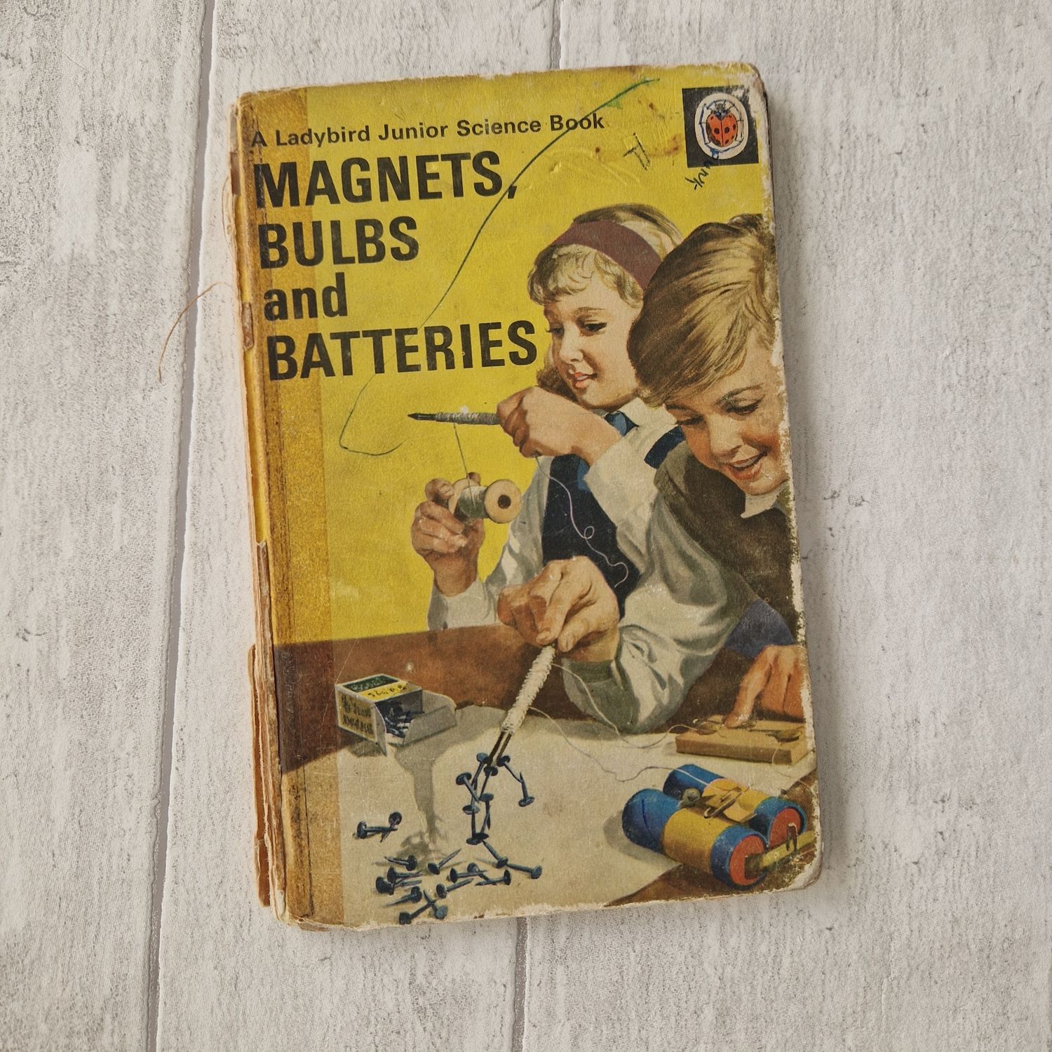 Magnets, Bulbs and Batteries Ladybird Book - science